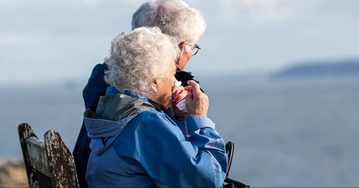 Qué debes agregar a tu acondicionador para cubrir las canas