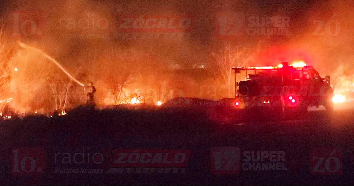 Presuntamente, el fuego habría sido provocado por dos jovencitos. Las llamas cubrieron un frente de alrededor de 50 metros de largo por 15 de fondo.