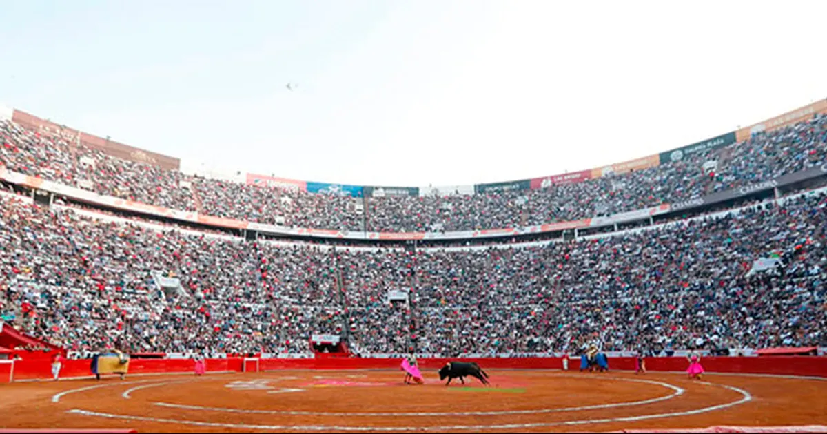 Optimismo e indignación entre taurinos ante suspensión y agresiones en la Plaza México