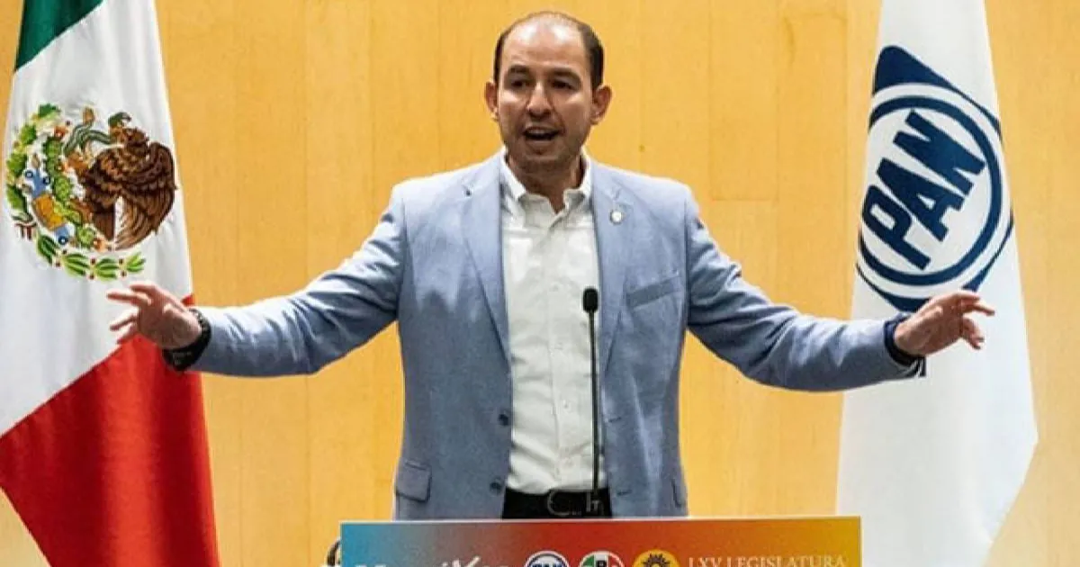 La oposición se muestra abierta a analizar las iniciativas de reformas del presidente Andrés Manuel López Obrador