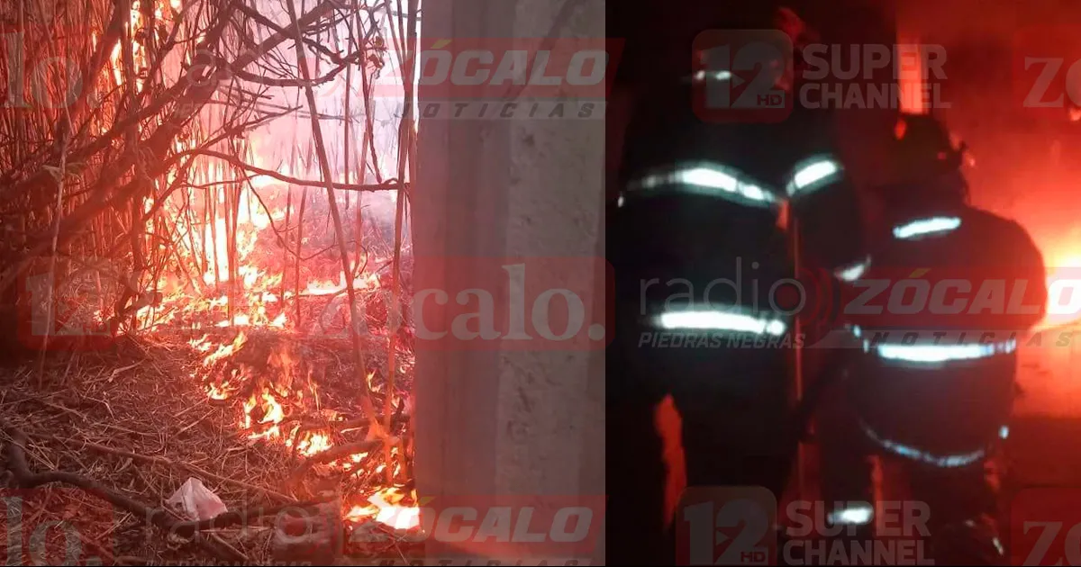 El presunto responsable fue detenido.