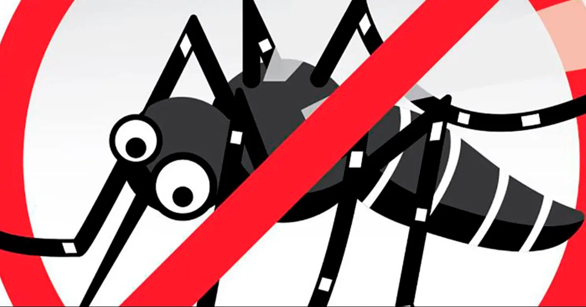 Inicia Jurisdicción Sanitaria 1 acciones para evitar casos de dengue en los seis municipios