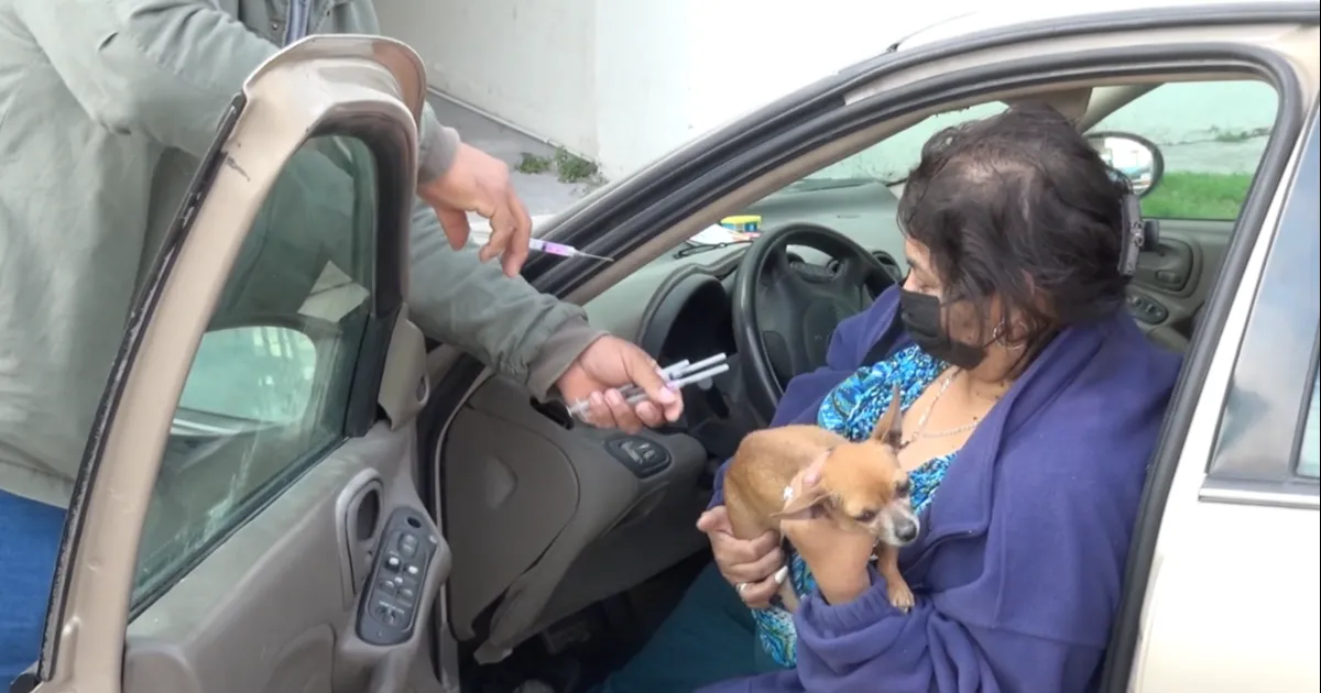 Del 17 al 23 se aplicará vacuna contra la rabia en perros y gatos