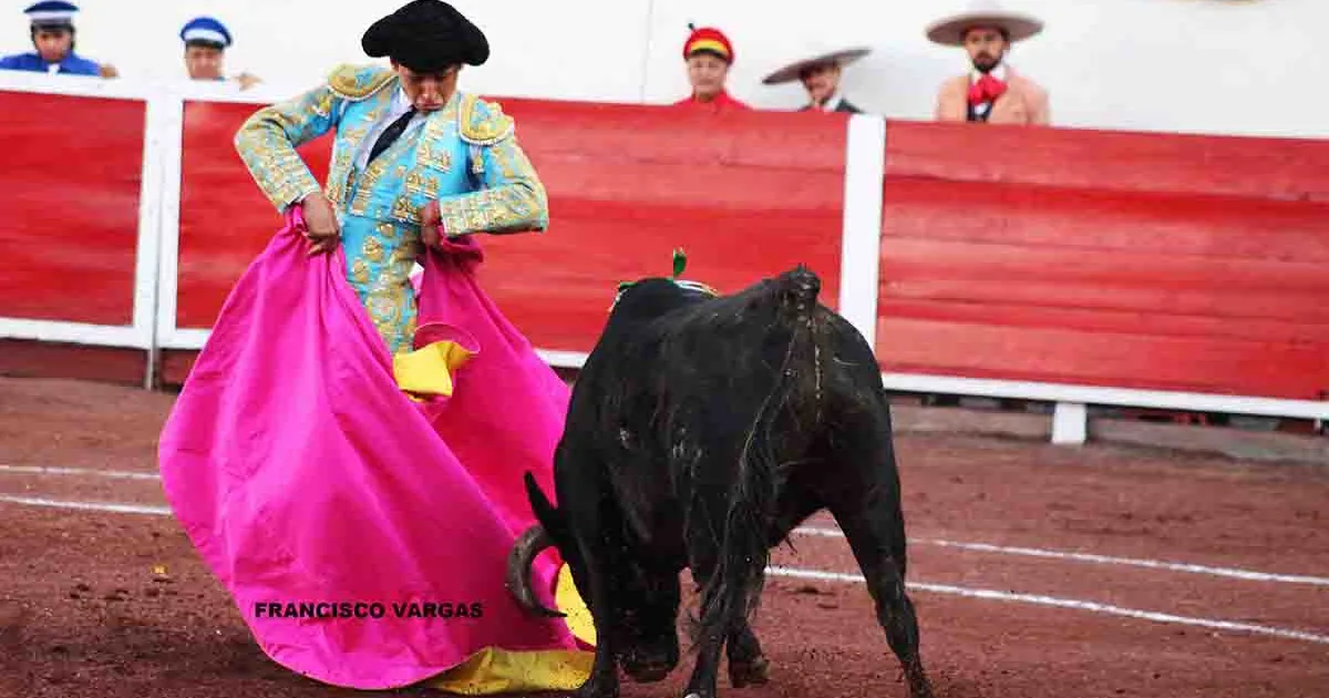 La Jornada Taurina para esta Semana es interesante