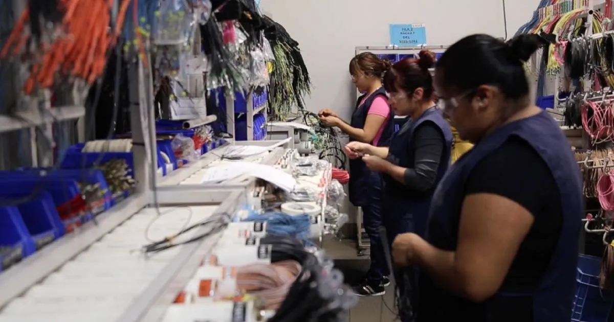 La rotación que manejan es de un 3.9 por ciento