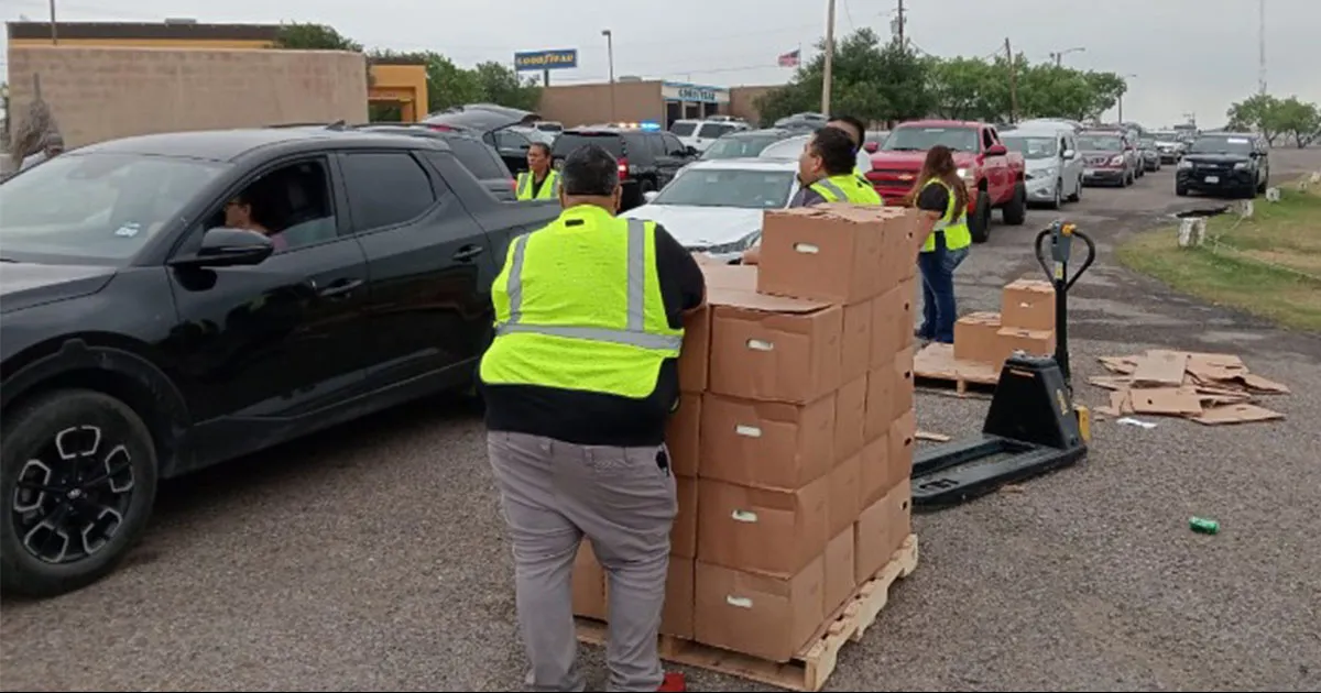 El paquete alimentario está compuesto por verduras, galones de leche, comida congelada, enlatada, así como frutas