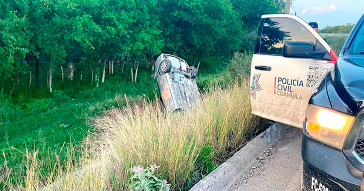 Vuelca por salvar la vida a un perro en carretera