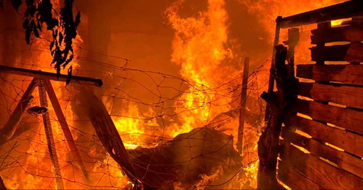 Según el reporte de las autoridades, una quema de cobre se salió de control y provocó el siniestro