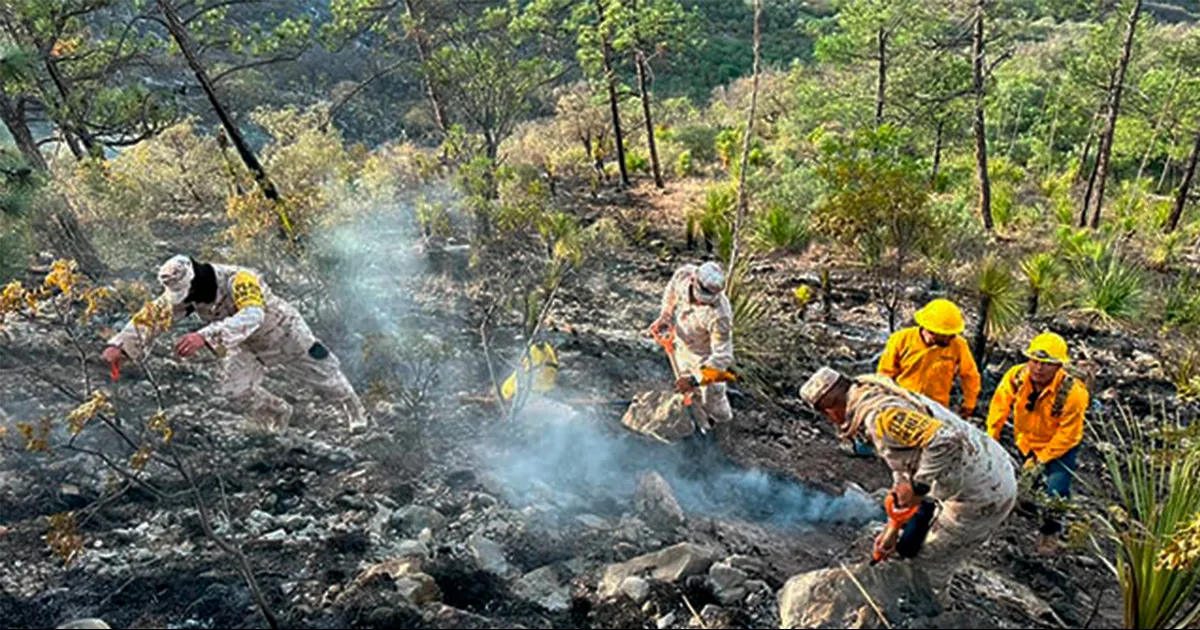 José Antonio Dávila Paulín señaló que la superficie dañada fue de 25 hectáreas las cuales fueron por una descarga eléctrica