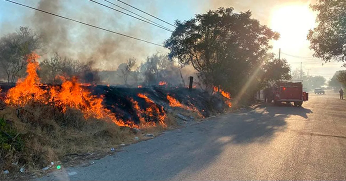 Exhorta Protección Civil a evitar incendios forestales en Acuña