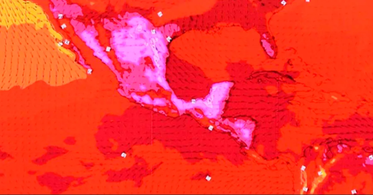 Científicos de la UNAM consideran que es una condición sin precedentes y sugieren a la sociedad reducir la exposición al sol, vestir colores claros