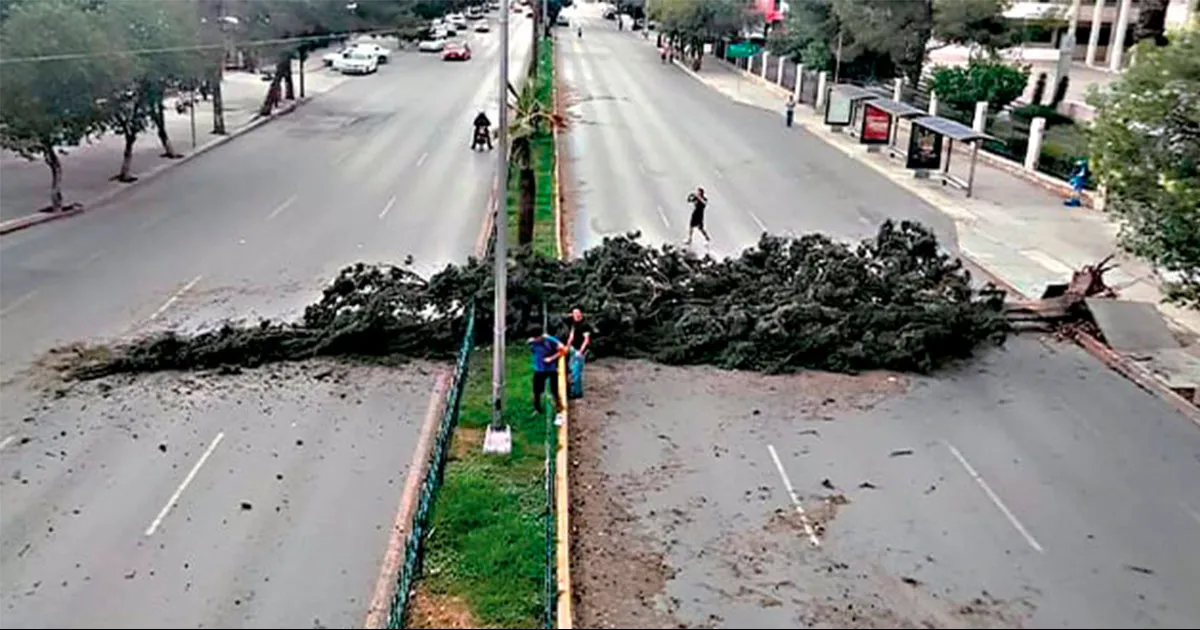 Cierran vías principales por la caída de árboles y reportan apagones en varios sectores
