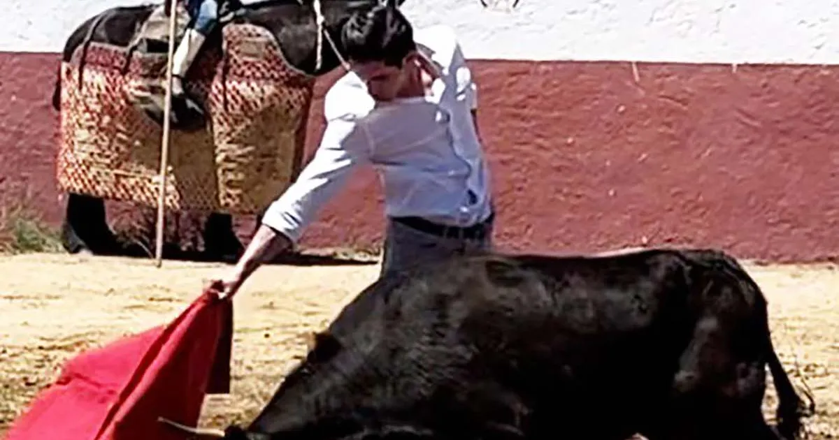 Fermín Espinosa “Armillita IV” se prepara en el campo bravo español