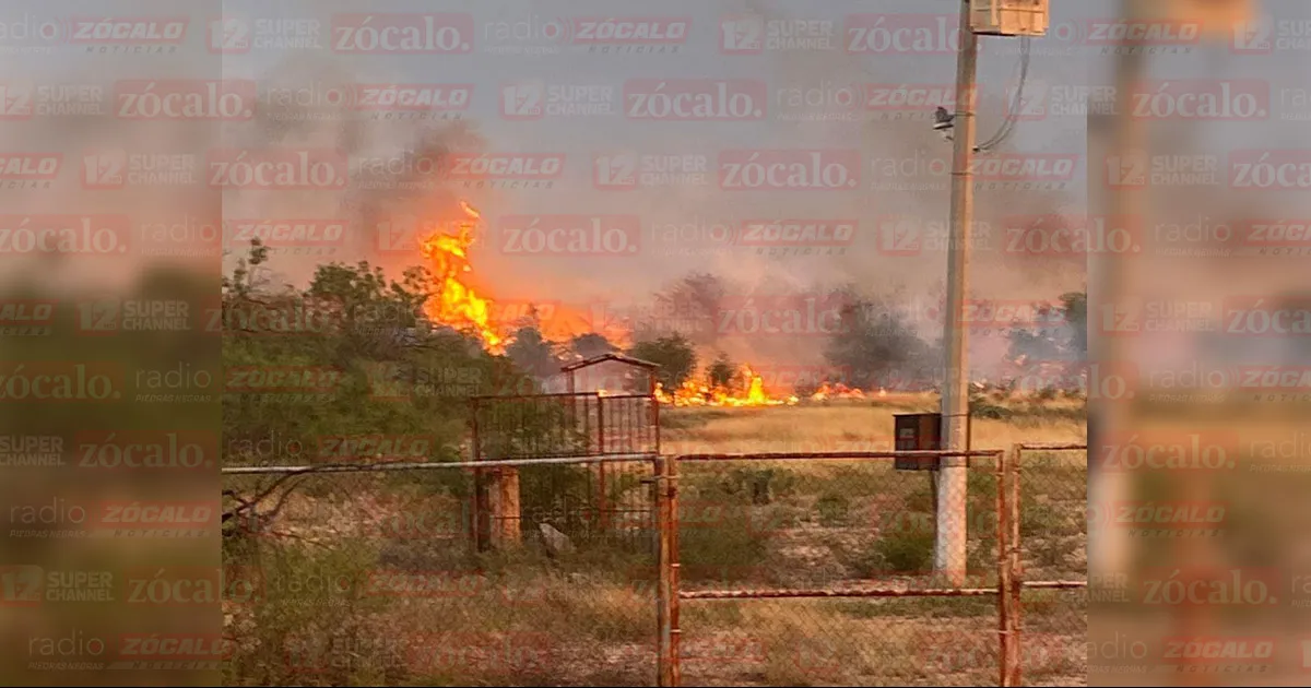 Sucedió en un terreno del Sindicato de los Maestros.