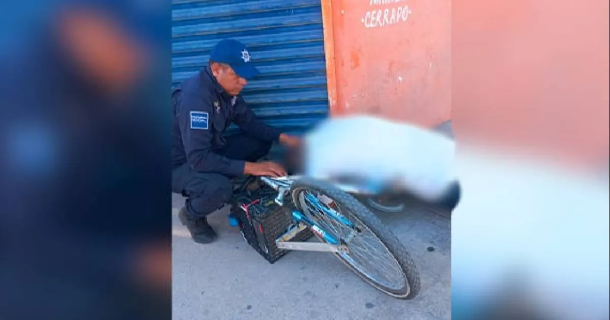 Pierde la vida ciclista en Villa de Fuente