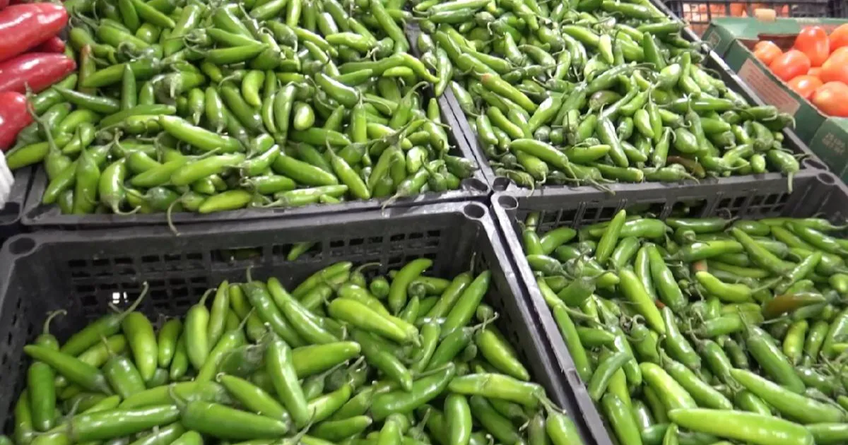 Falta de apoyo al campo y poca producción siguen encareciendo precios de alimentos