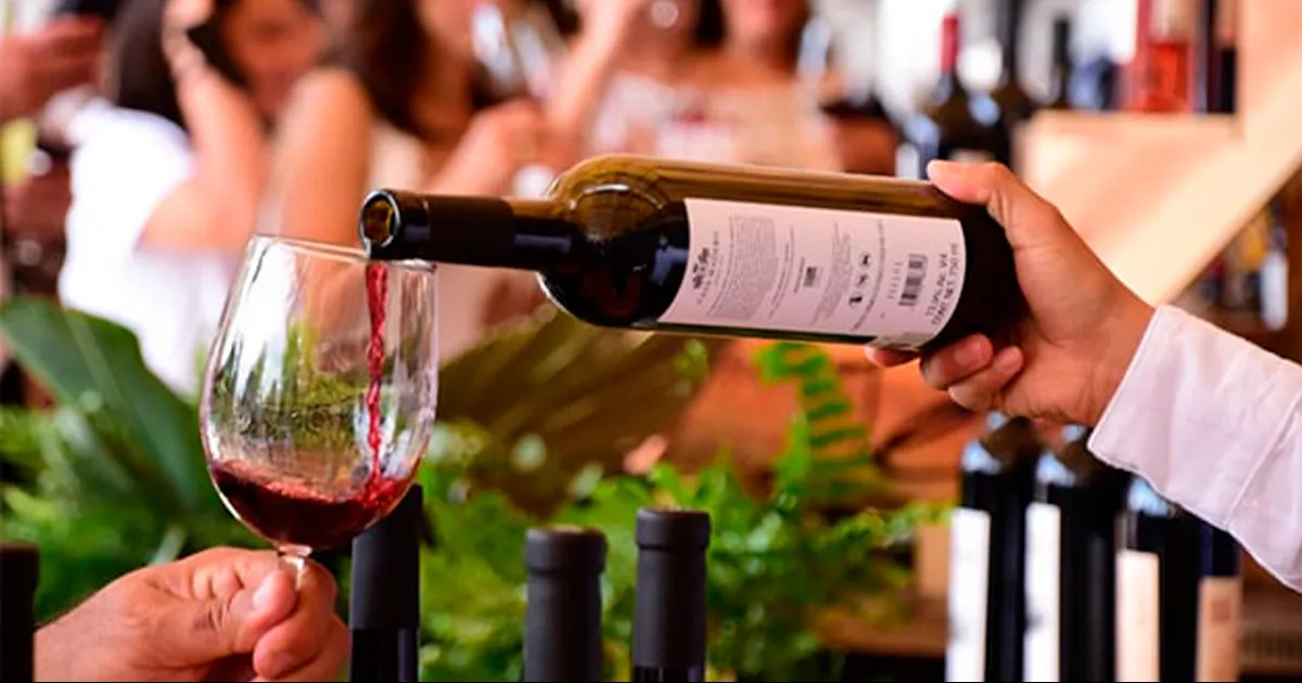 Tiene Coahuila de los mejores vinos en el mundo; gana 19 medallas en el Concours Mondial de Bruxelles 2024