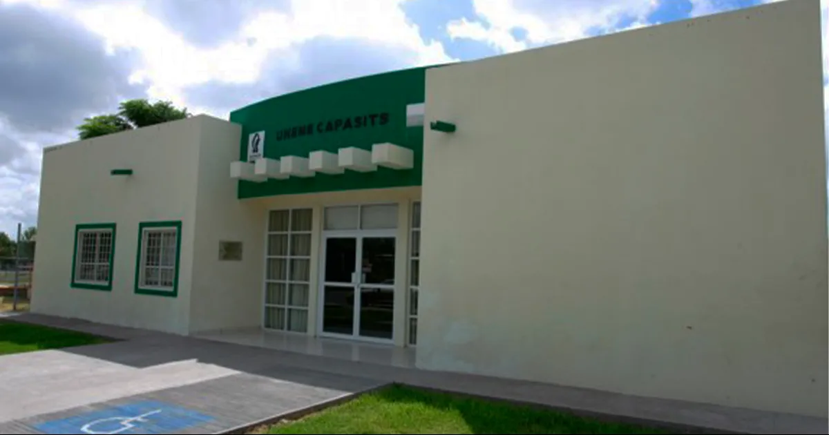 Desde esta semana ya están de nuevo en la colonia Lázaro Cárdenas