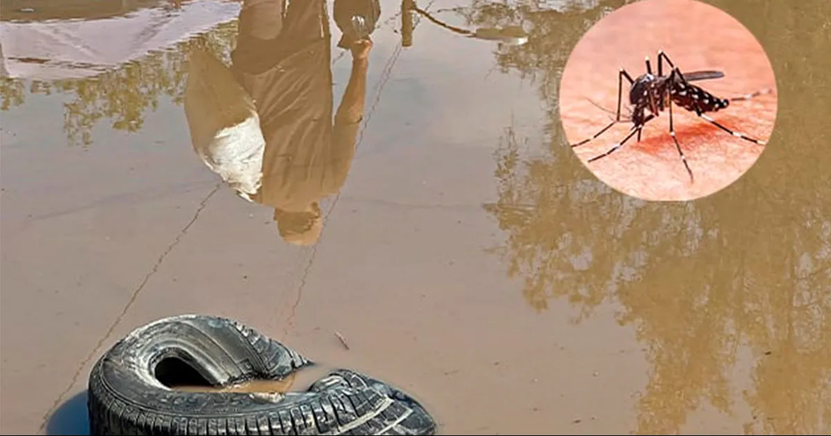 Hasta el pasado 17 de junio, Coahuila era uno de los siete estados a nivel nacional, que no registraba ningún caso de dengue.