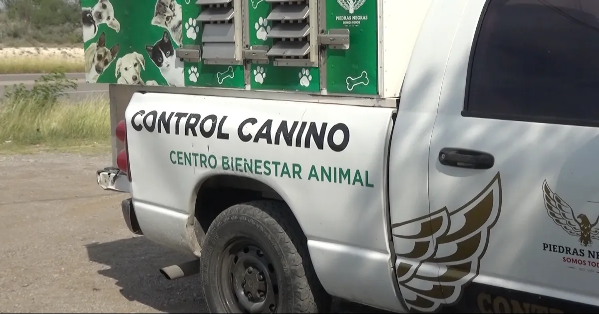 De nada sirve la capacitación a personal médico, si no se cuidan los perros, según lo declarado por el coordinador del centro.