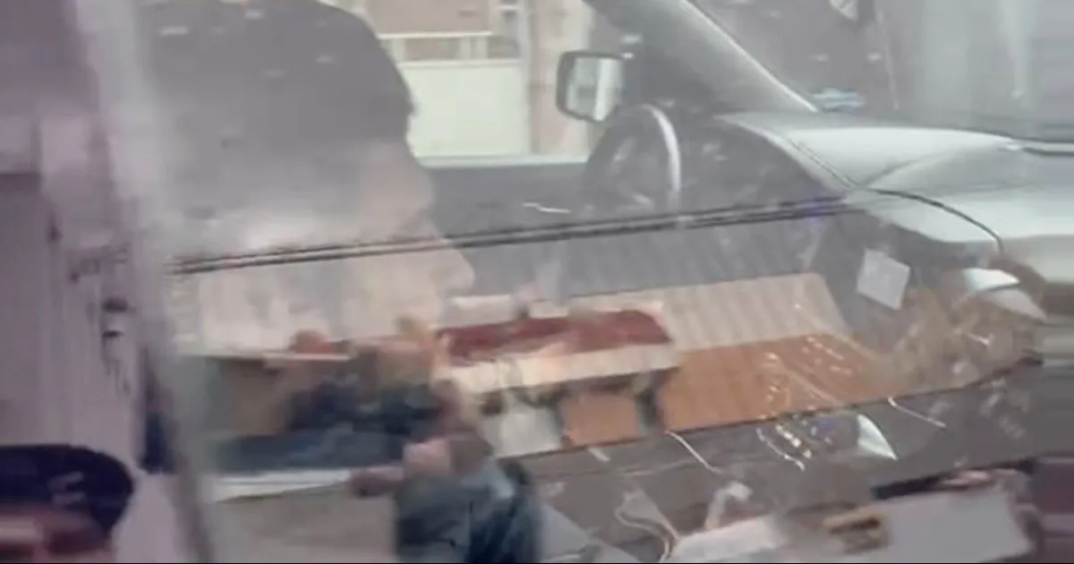 Gonzalo López Beltrán, hijo de AMLO, visita a Sheinbaum en su casa de transición