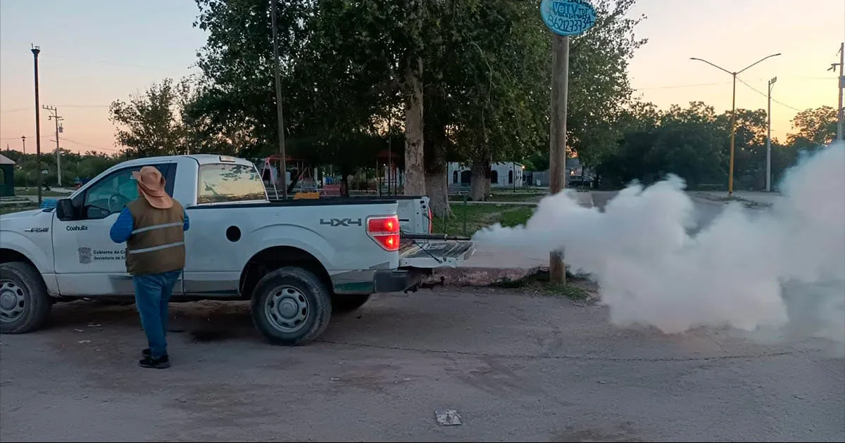 Se pide a los vecinos mantener ventiladas sus viviendas para permitir el ingreso del insecticida, que es seguro para humanos y mascotas.