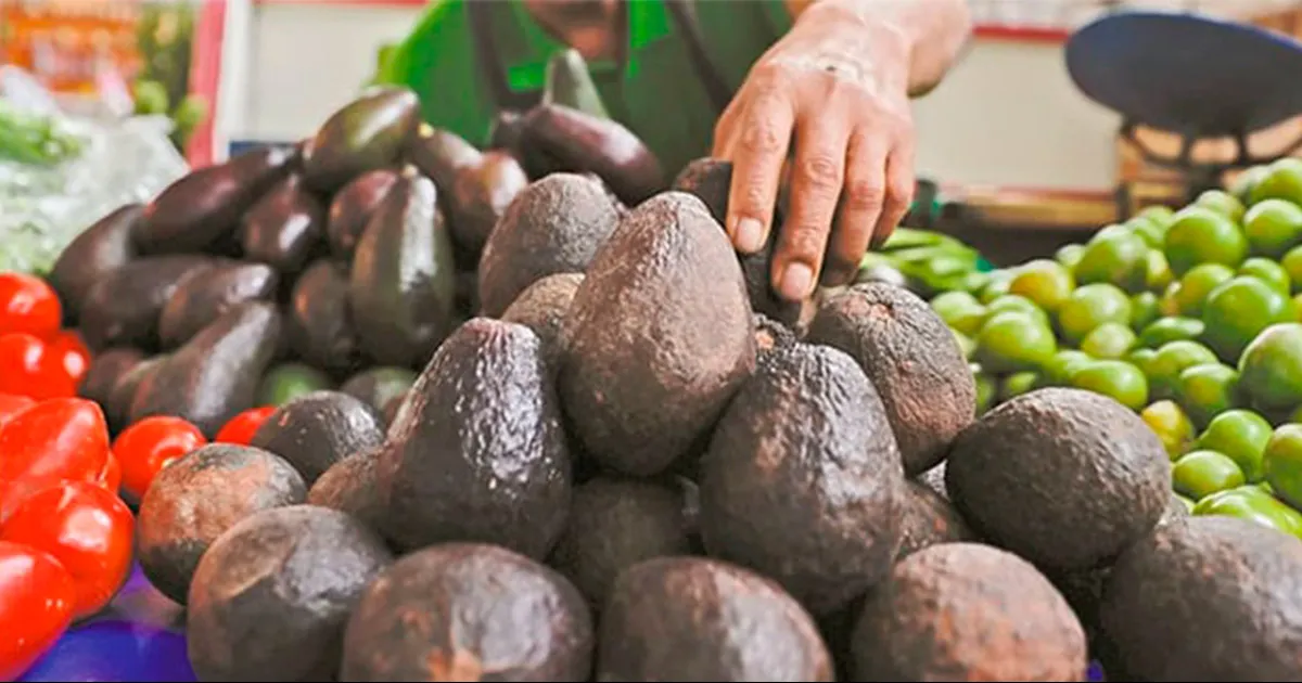 Sube aguacate precio de la canasta básica