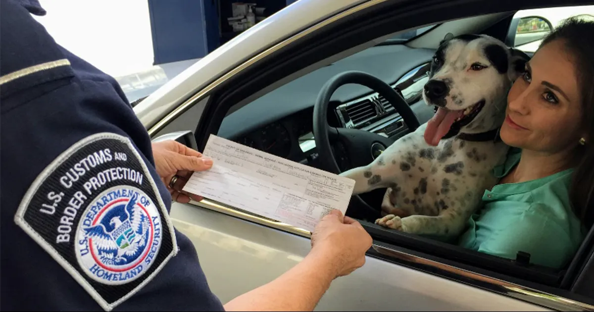 Regularán entrada de perros a Estados Unidos
