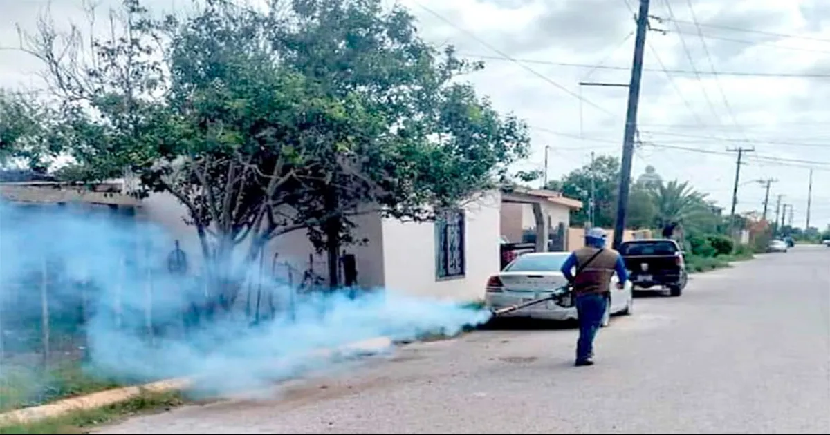 Exhortan conservar limpios patios y terrenos.