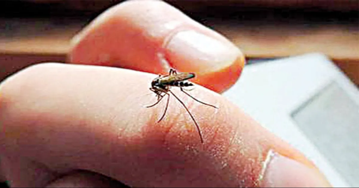 Por último, informó los síntomas del Dengue a fin que la población esté alerta: fiebre, malestar general, dolores musculares, dolor retrocular, es decir, dolor detrás de los ojos.