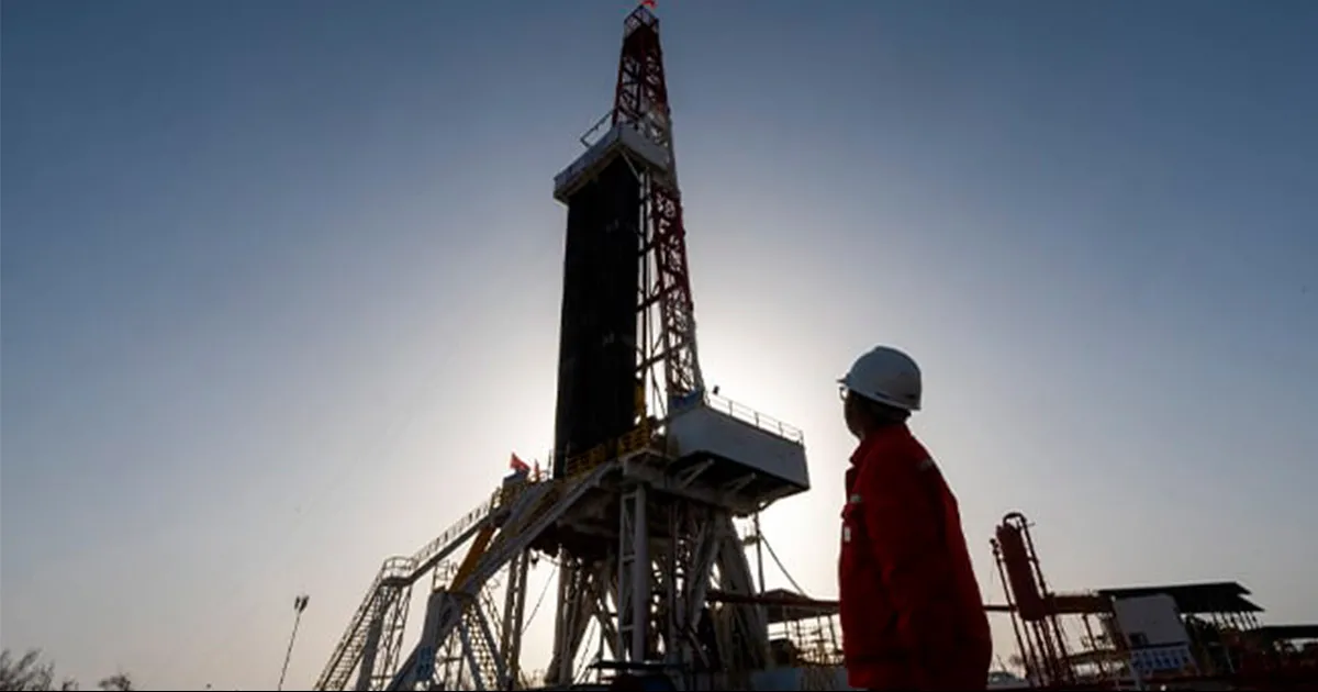 Existen más de 50% de recursos no asignados ni a Petróleos Mexicanos ni a otros participantes.