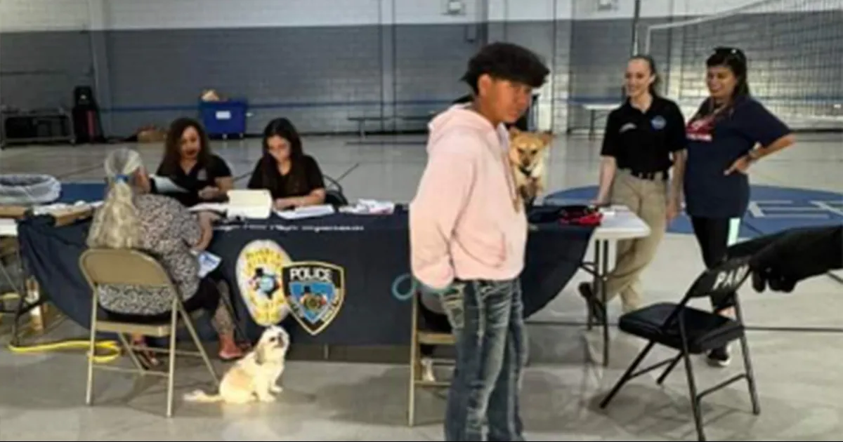 Programarán otro evento para instalar chips a perros