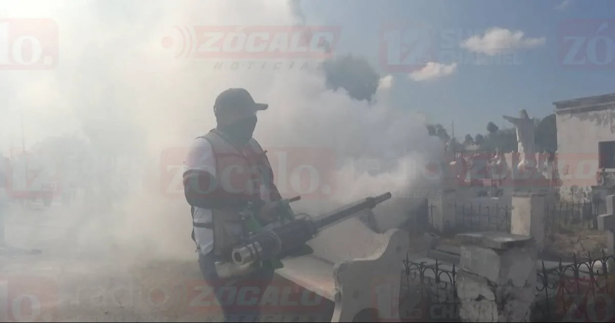 Trabajos van acompañados de fumigaciones para evitar mosquitos.