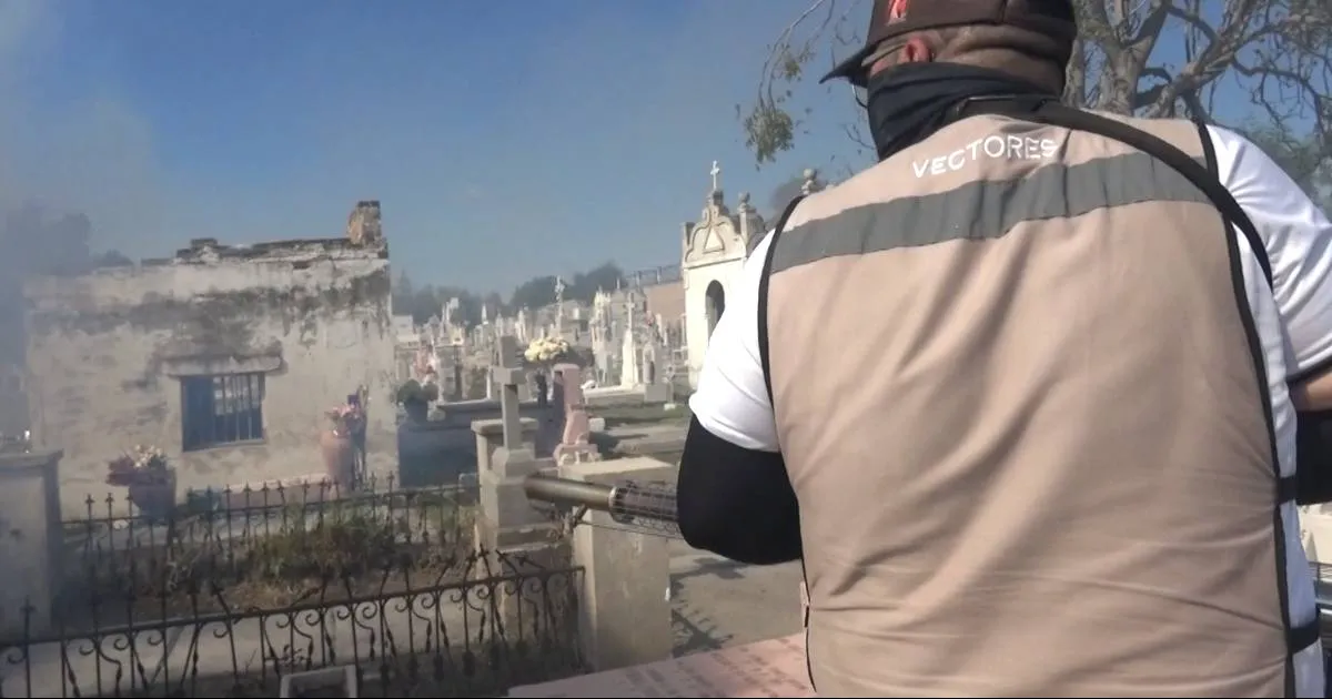 Esta semana se hará una segunda fumigación en los panteones.