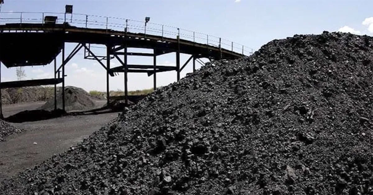 Buscan productores les permitan tener la continuidad para poder cumplir.