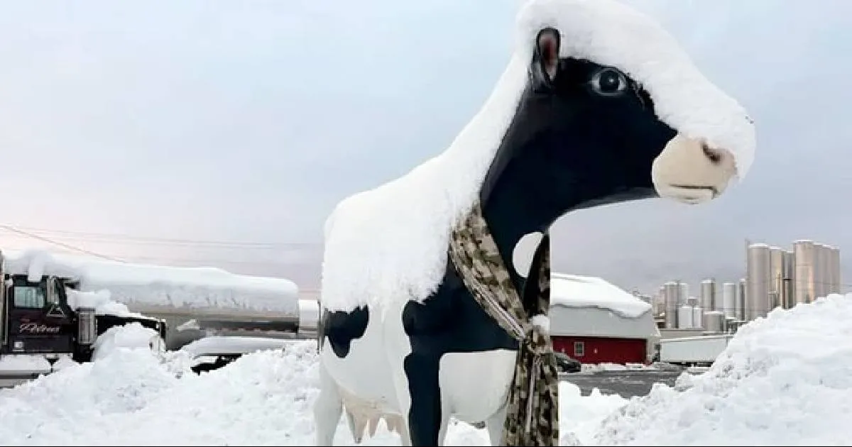 Algunos conductores se quedaron atorados hasta 19 horas en las carreteras afectadas por el clima gélido.