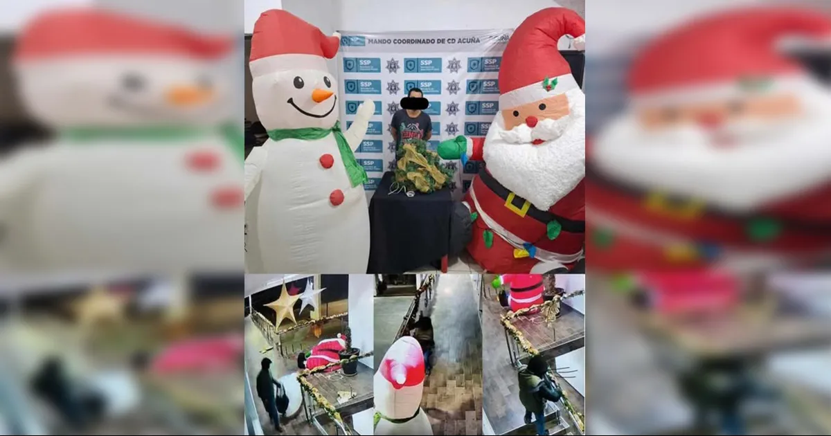 Según la información proporcionada, Aaron robó dos inflables navideños y una escarcha navideña con luces de aproximadamente 15 metros de longitud.