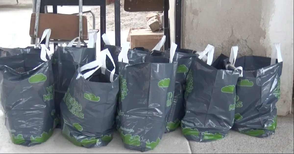 Acciones realizadas gracias al apoyo de benefactores y voluntarios