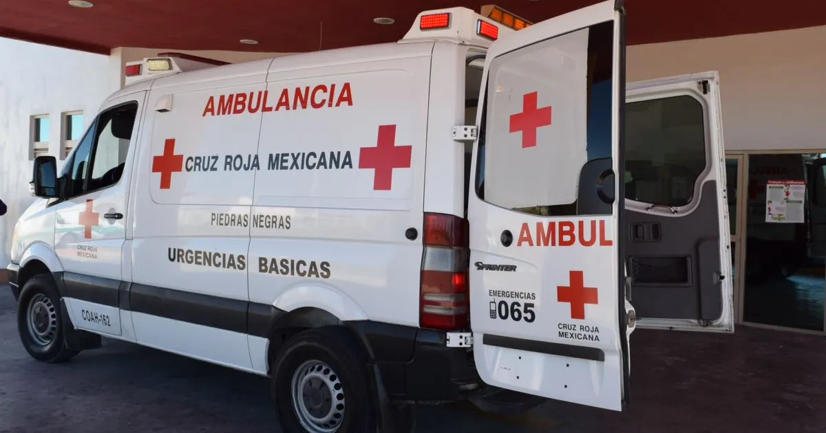 Cruz Roja buscará aumentar cantidad de paramédicos voluntarios el próximo año