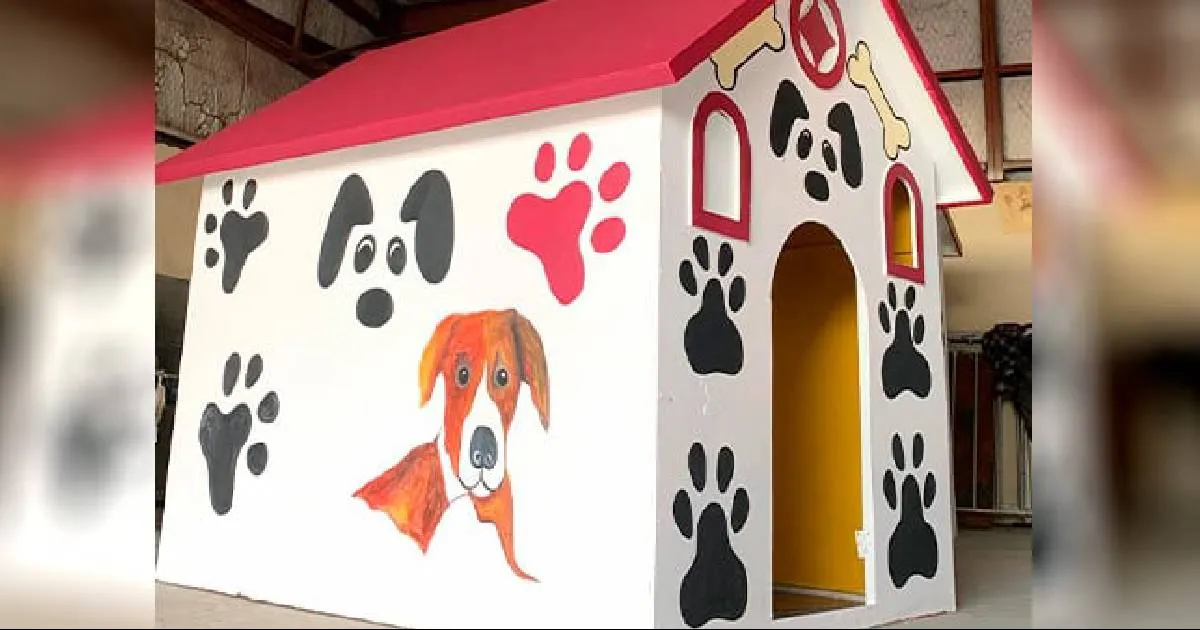 Este espacio brindará resguardo y alimento a los perros durante estos días que se esperan temperaturas bajo cero para que mitiguen el frío.