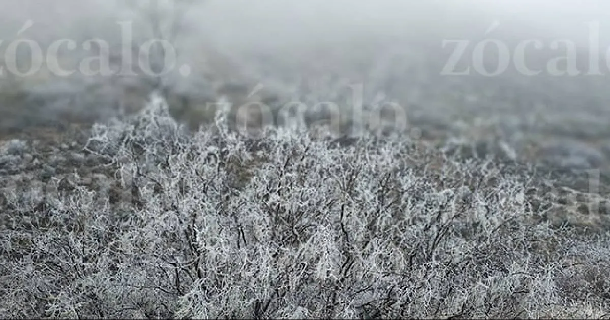 Al costado de la carretera se observan paisajes congelados por la gragea que cayó desde las primeras horas del martes
