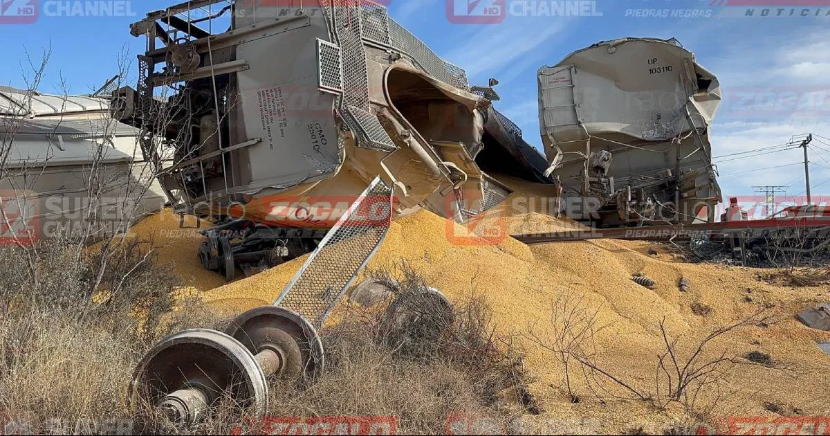 El probable motivo del accidente fue que las vías se encontraban congeladas debido a las bajas temperaturas registradas en la madrugada, lo que habría afectado la estabilidad de los rieles.
