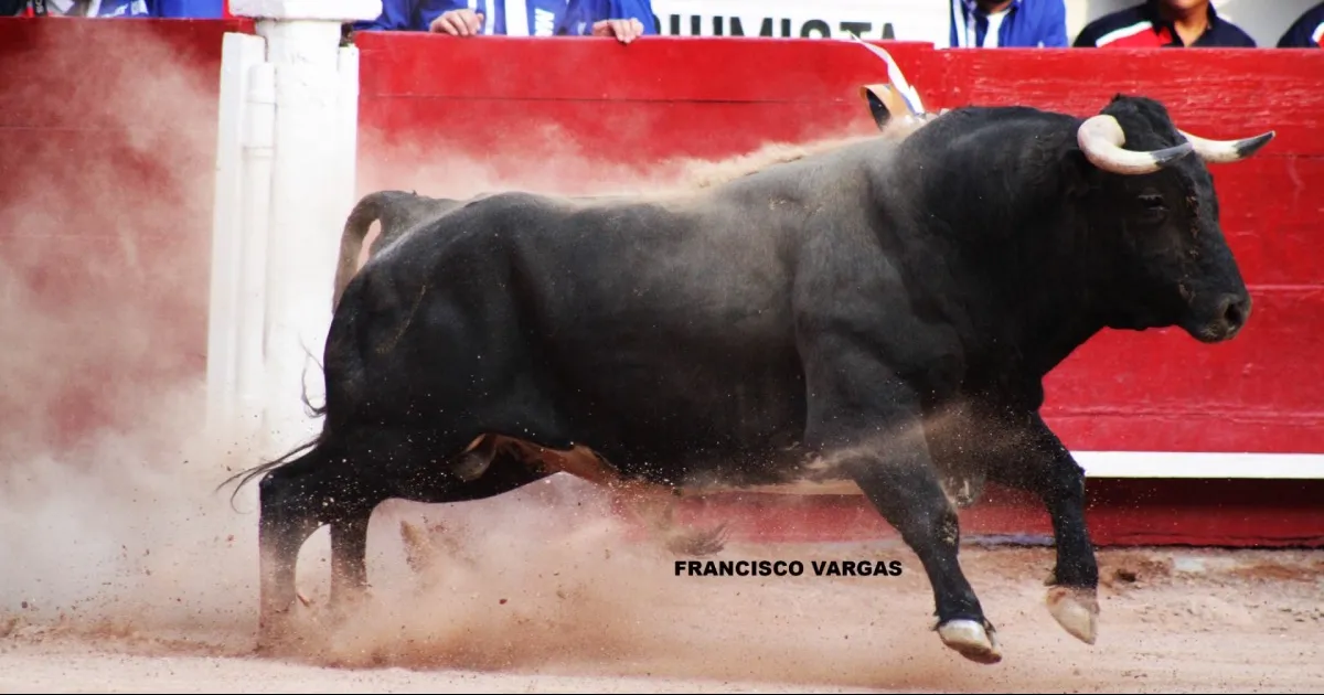 Espectáculos Monterrey da a conocer avances del Serial Taurino San Marcos 2025