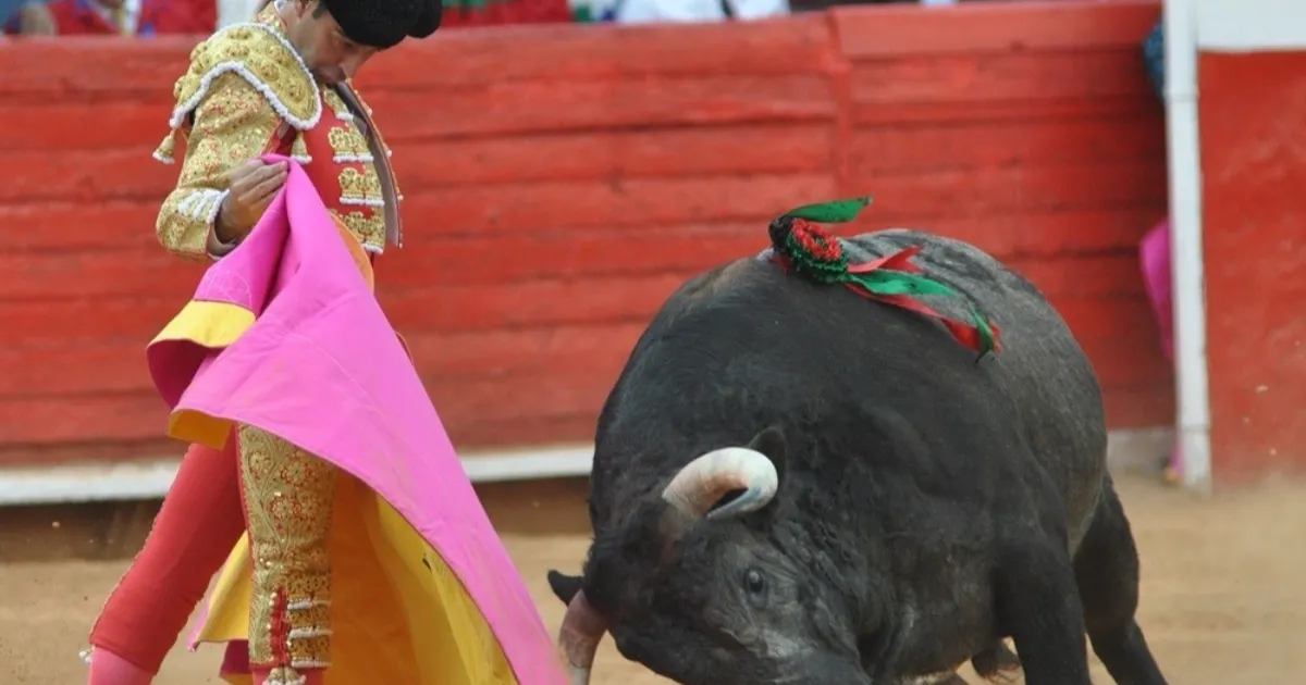 Enrique Ponce hará su paseíllo 50 en la Plaza México, en lo que es su despedida ante la afición capitalina