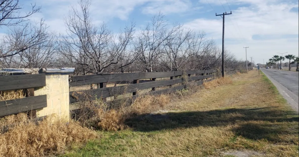 Estos malos olores provienen de una huerta nogalera que se encuentra en este sector de nombre Huerta el Diamante propiedad del señor Héctor Garza.