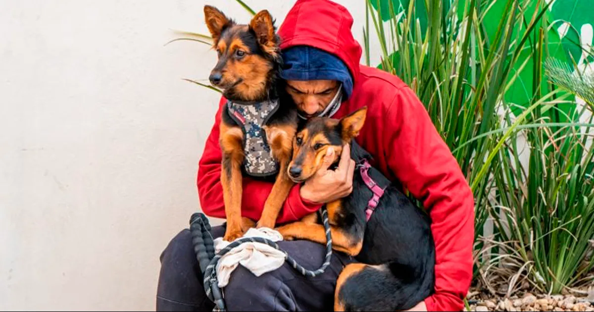 Se realizó con el apoyo de la Asociación de Médicos Veterinarios del Norte.