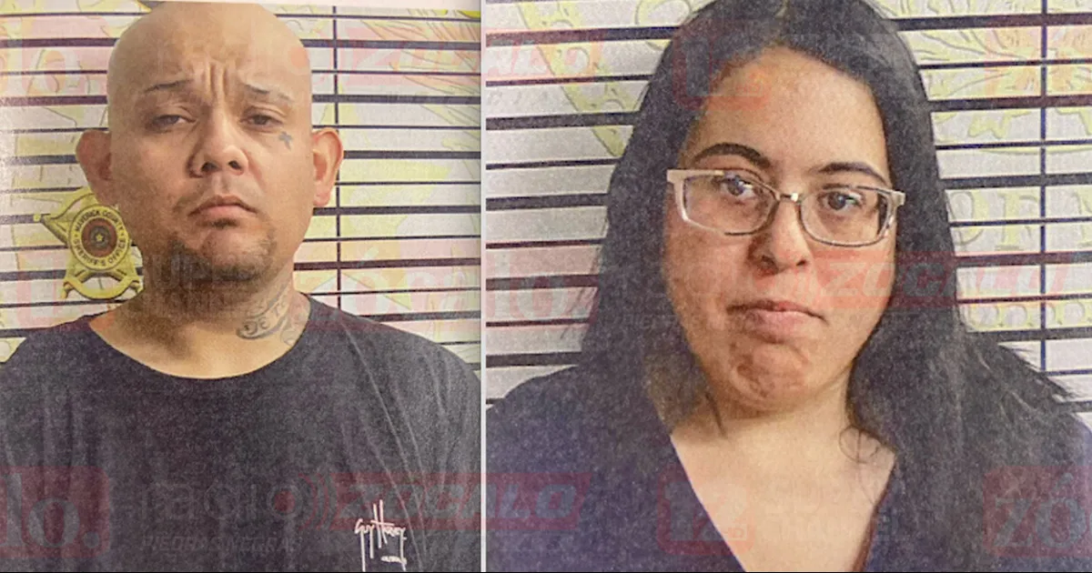 Recuperan dos motos y monedas de colección.