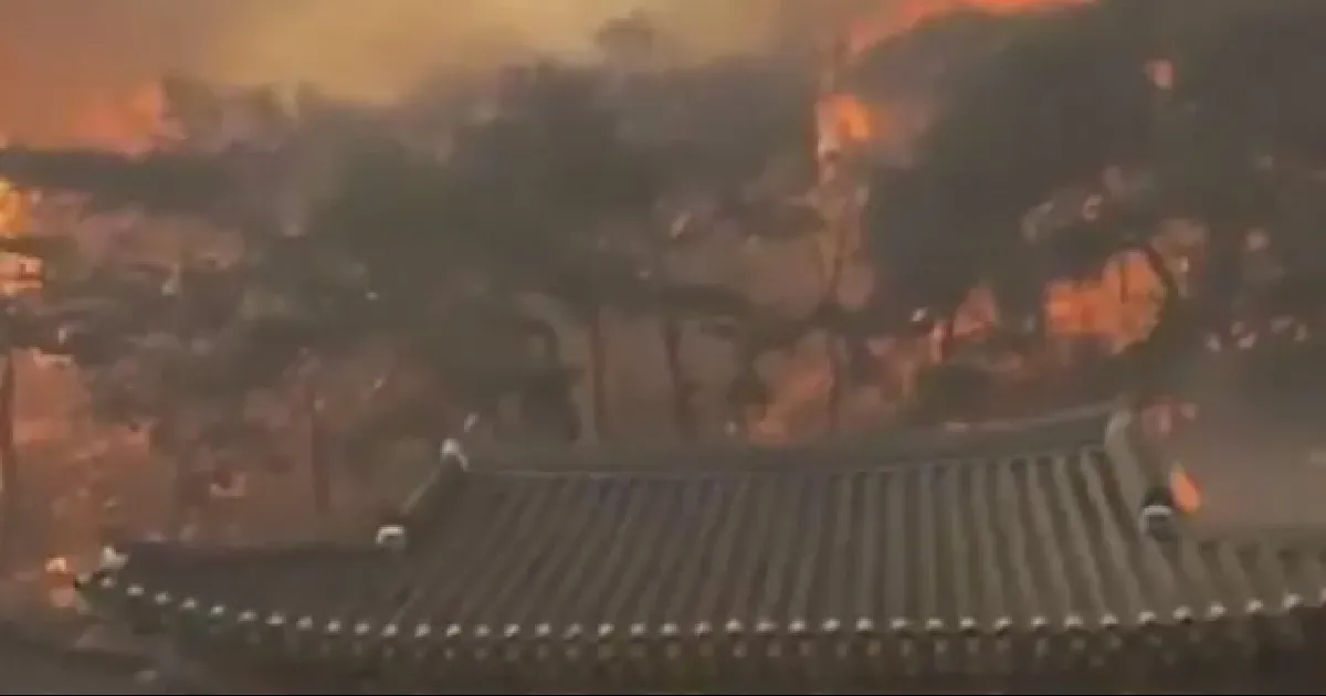 VIDEO: Imparable incendio forestal en Corea del Sur; hay 18 muertos