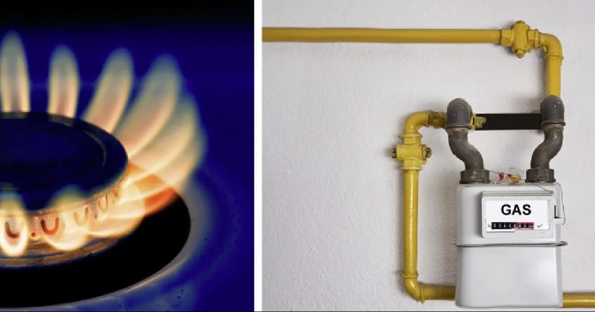 El aumento en la demanda de vivienda los obliga a estar atentos para cubrir las necesidades que se puedan tener los nuevos residentes, ya que todos buscan tener una buena calidad de vida.