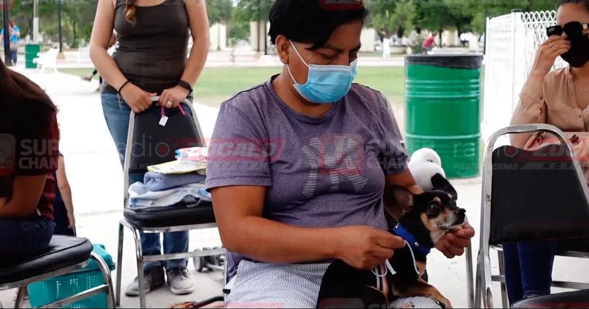 Los beneficios de realizar este tipo de campañas es controlar la sobrepoblación de perros callejeros y alargar la vida de las mascotas.